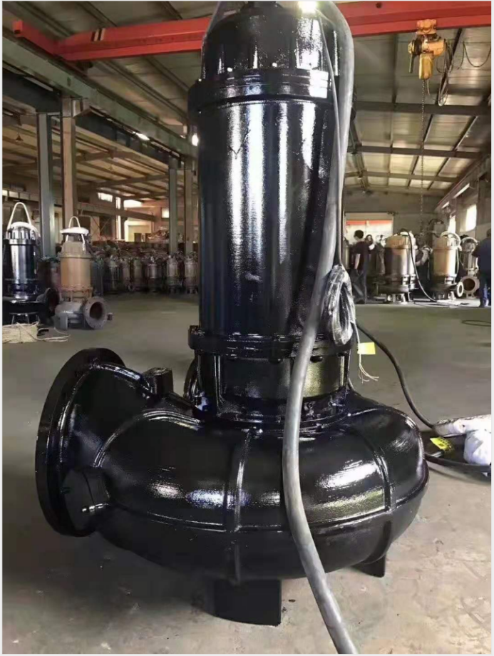 防汛工作要做好，威滬水泵不能少