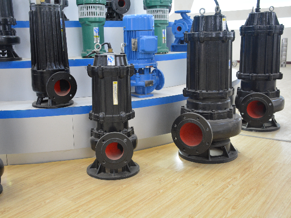 怎么保養(yǎng)和維護(hù)排污泵